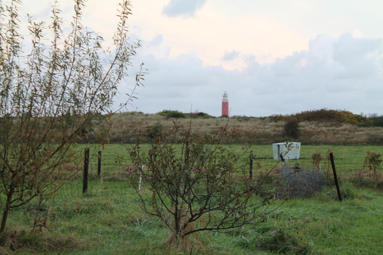 boerderij de duinen 111 Appartement De Cocksdorp  Buitenkant foto